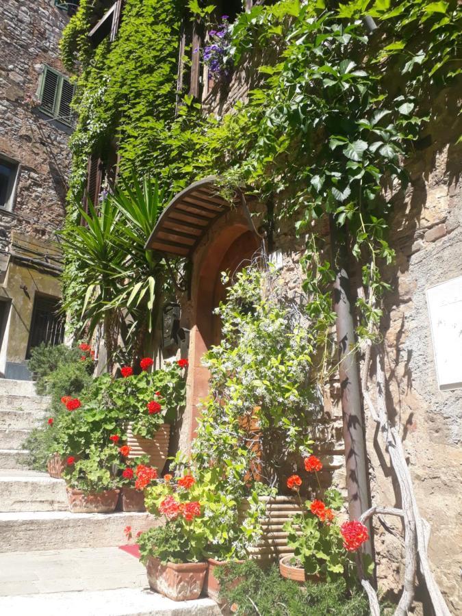La Piazzetta Toscana B&B Campiglia Marittima Ngoại thất bức ảnh